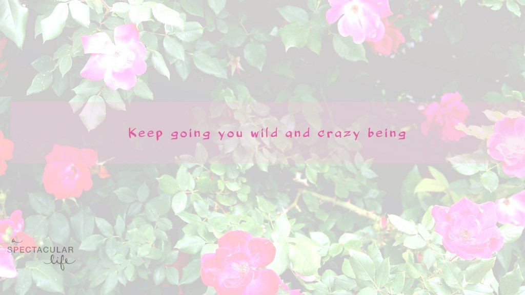 Wild-and-Crazy-1024x576